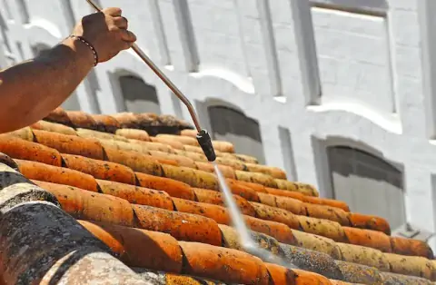 Nettoyage de toitures - Moustéru